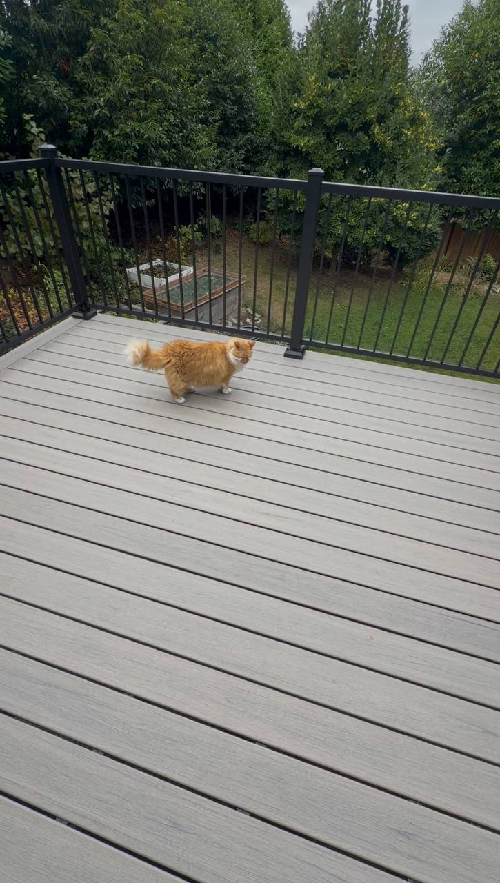 Gray Composite Deck & Metal Railing in Everett, project photo 5